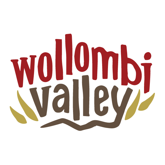 https://advancecessnock.com.au/wp-content/uploads/Wollombi-Valley-Logo_colour.png