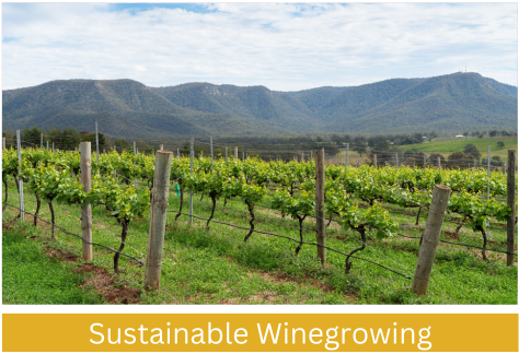 Webpage Winegrowing Training